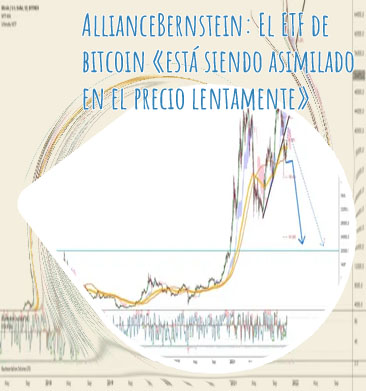 Btc will crash en espa&ntilde;ol